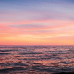 Meet your Posher, Alexa